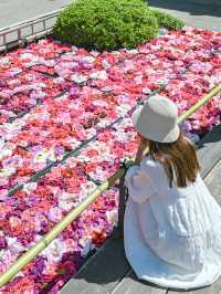 【期間限定】感動の絶景広がる🌼 欲張りに2種類たのしむのがおすすめ🫶🏻🌸✨ 