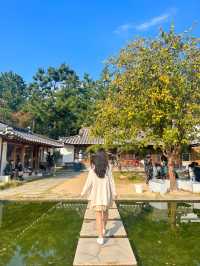 한옥과 소나무의 조화가 예쁜 경주카페🌳