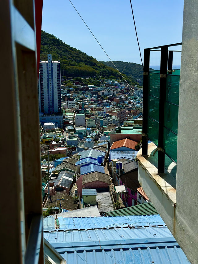 Cityscape Views from Gamcheon Cultural Village 🇰🇷