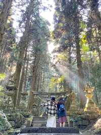 【熊本】⛩️ 阿蘇の大自然に佇む、神秘的な光が降り注ぐ神社 ⛩️