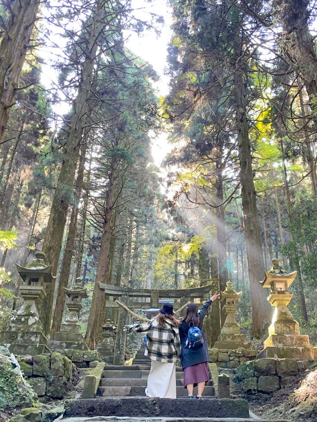 【熊本】⛩️ 阿蘇の大自然に佇む、神秘的な光が降り注ぐ神社 ⛩️