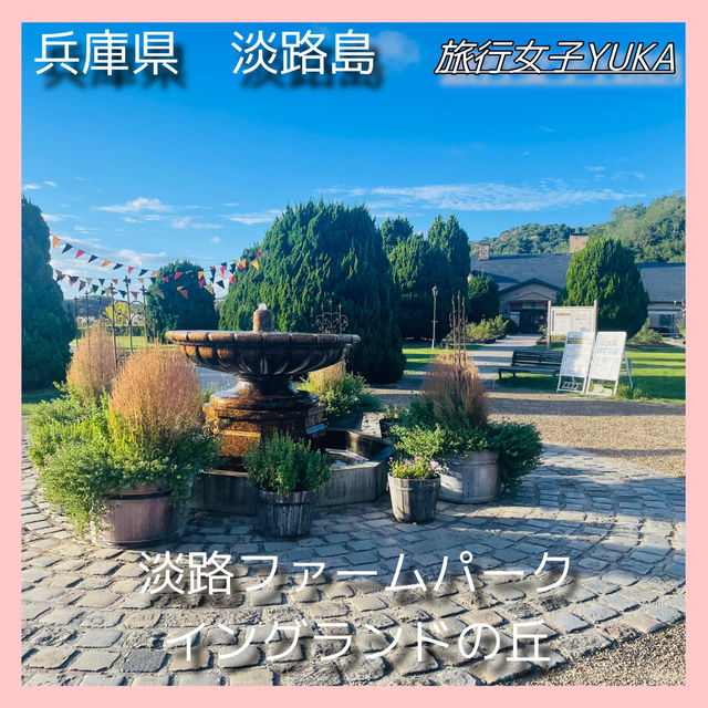 淡路島　動物と触れ合い、ひまわり🌻と写真