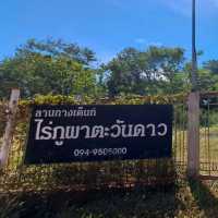 จุดกางเตนท์วิวดี ไร่ภูผาตะวันดาว