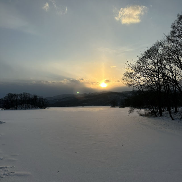 北海道牛乳農場～