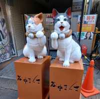 【谷中銀座:東京都台東区】1950年代から続く昔ながらの商店街♪