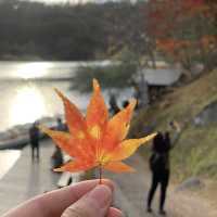 Goshikinuma Lake (โกชิกินุมะ)