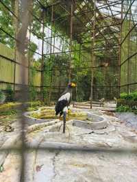 Awesome resort with a mini zoo
