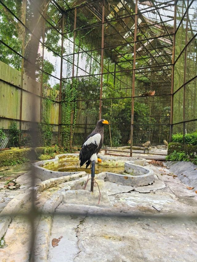 Awesome resort with a mini zoo