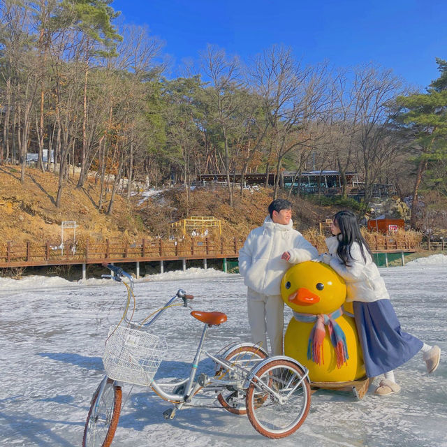 역시 겨울에는 오리썰매 무조건 이지🐤