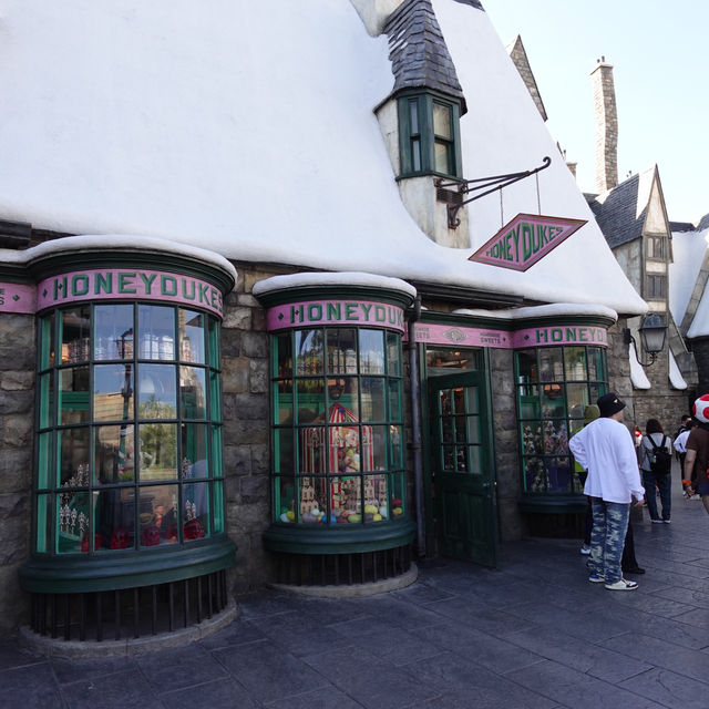 Potterhead's Dream!✨🪄🧙‍♂️