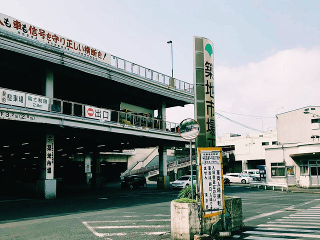 # TOKYO🇯🇵 東京漫遊の旅#
