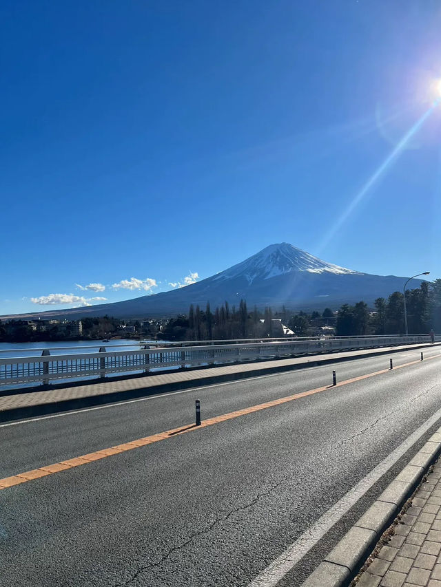☀️ 1 day trip ☁️ Kawaguchiko 🗻🚲💙