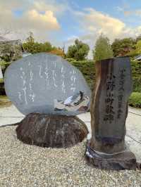 京都観光🥰🩷随心院🩷魅惑の和傘の光の祭典⛱️✨