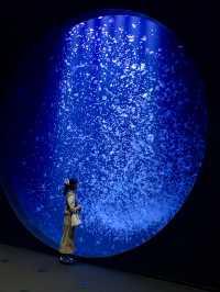 【鶴岡】桁違いの幻想的なクラゲに癒される✨