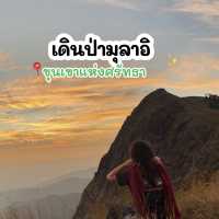 เดินป่าครั้งแรกกับทัวร์ ที่มุลาอิ🏔️