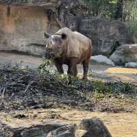 都会のど真ん中にある天王寺動物園