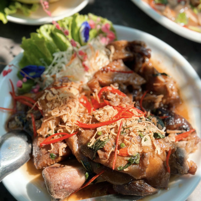 #คาเฟ่กระต่าย#ร้านอาหารพัทยา #ลอฟบิทพาร์ค #Pattaya
