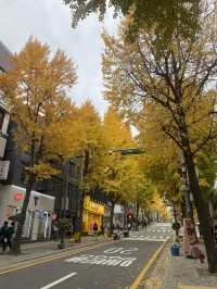 Exploring Ewha Womans University: A Beautiful Blend of Tradition and Modernity