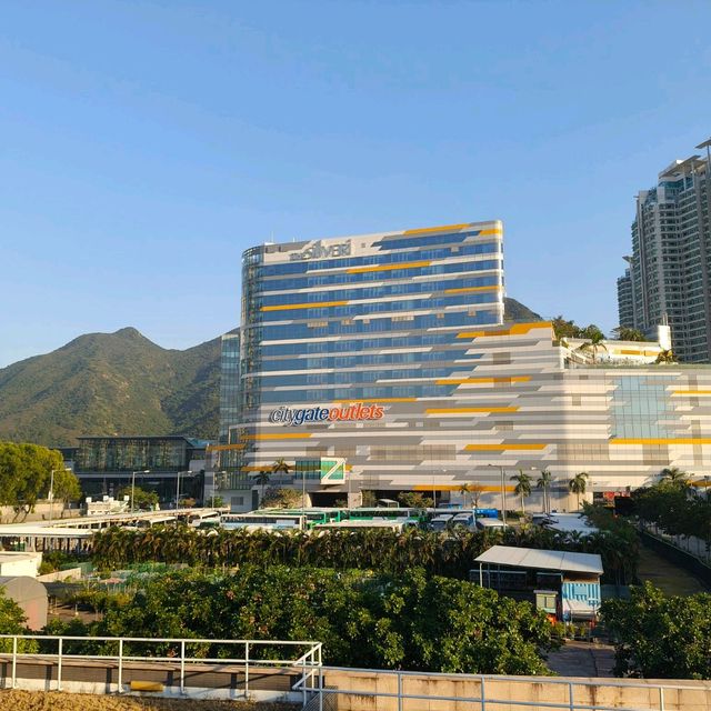 這一年讓香港從我的旅遊地，變像是生活的城市