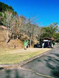 【静岡県/伊豆　紅葉🍁を眺めながら楽しめるキャンプ施設】