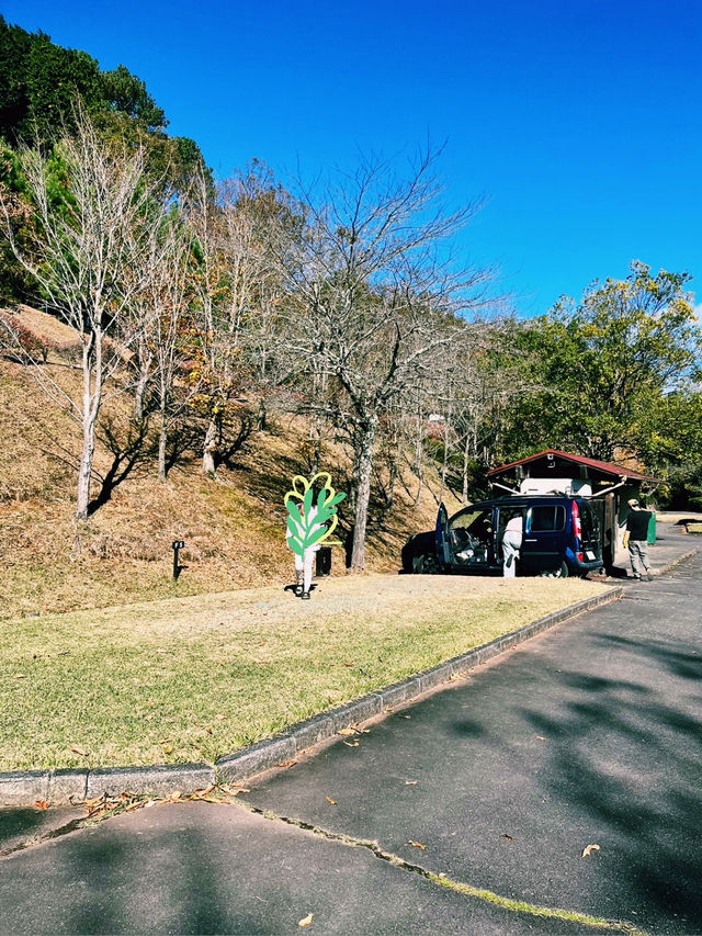 【静岡県/伊豆　紅葉🍁を眺めながら楽しめるキャンプ施設】