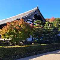 【東福寺:京都市東山区】1236 年創建の仏教寺院で紅葉の名所🍁
