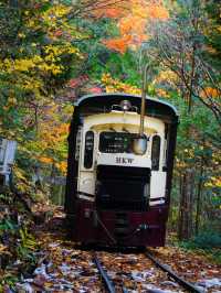 長野観光🥰🚂赤沢森林鉄道🚂素敵な紅葉を愛でながら癒される旅🍁