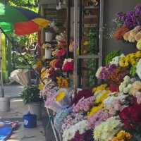 Unveiling the Treasures of Semarang