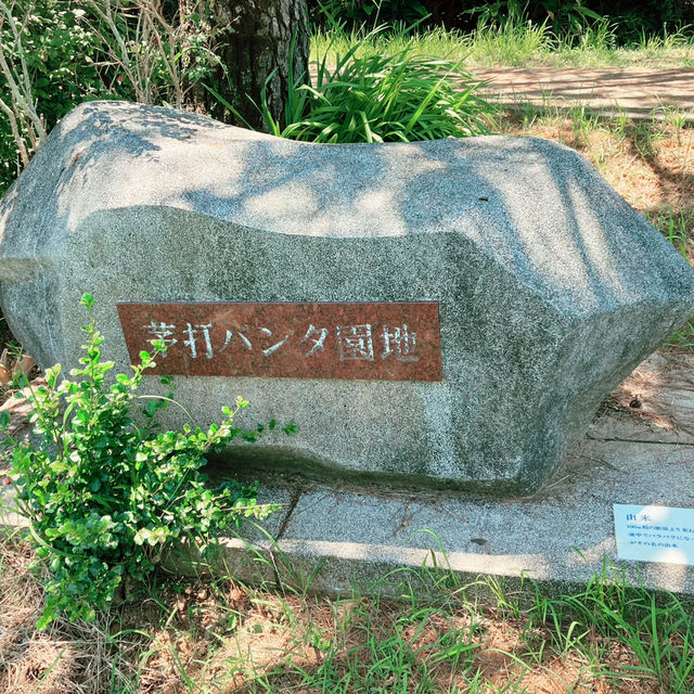 【沖縄本島・北部】辺戸岬近く、茅打バンタ