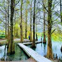 花蓮雲山水夢幻湖