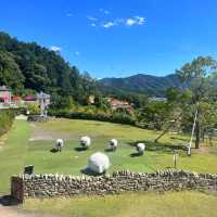 【滋賀県】あなたもショーンの世界に🐏✨