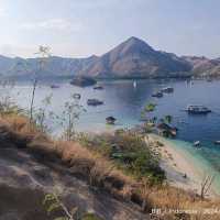 hopping & hopping & hopping 