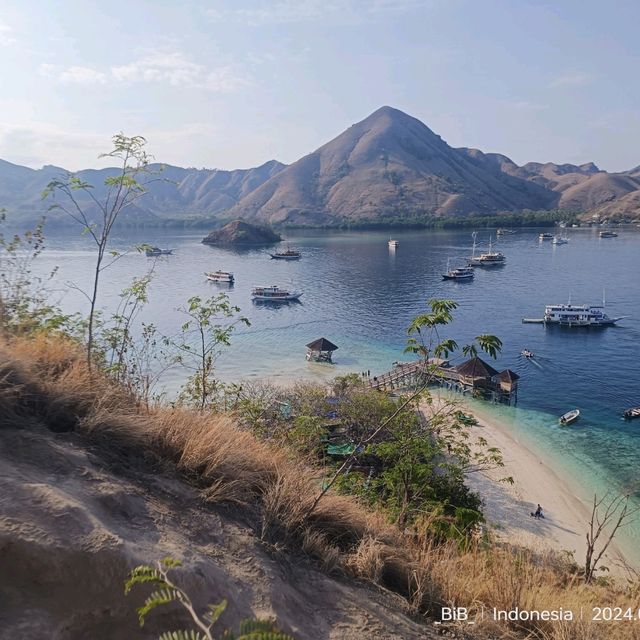 hopping & hopping & hopping 