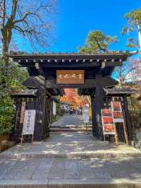 京都嵯峨野の紅葉名所😊🍁小倉山の常寂光寺🍁