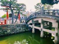 鎌倉🇯🇵鶴岡八幡宮
