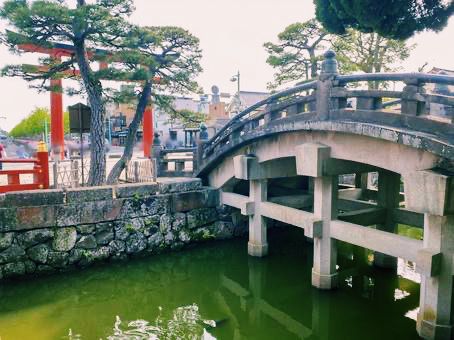 鎌倉🇯🇵鶴岡八幡宮