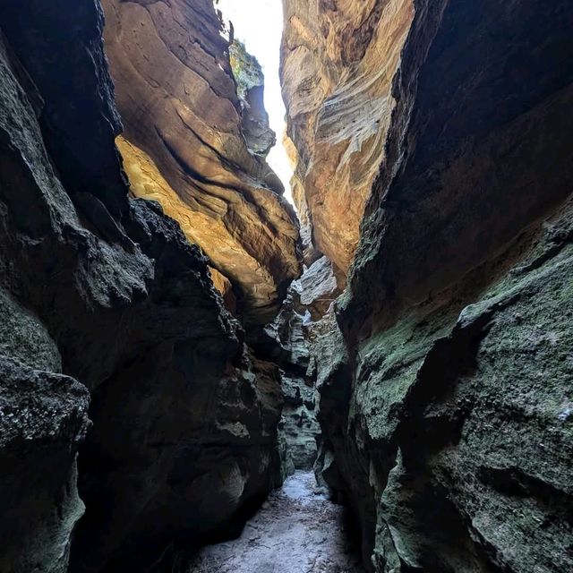 The Blue Mountains Glow Worm Tunnel, New South Wales