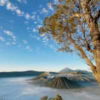 Bromo Tengger Semeru National Park