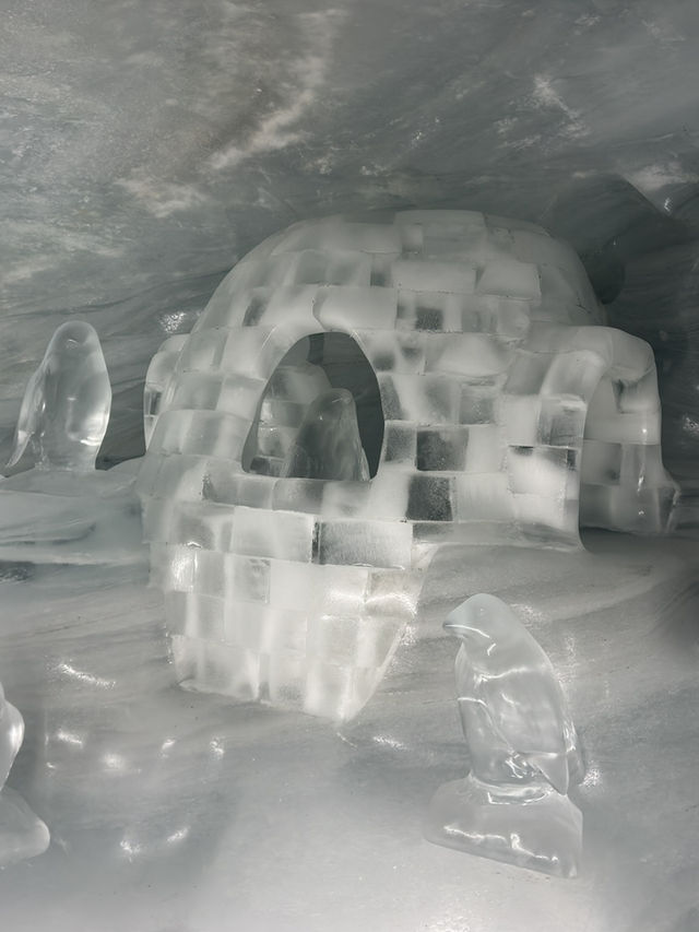 Jungfraujoch: The Top of Europe 