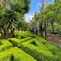  Alowyn Gardens: A Floral Paradise in Yarra Glen 