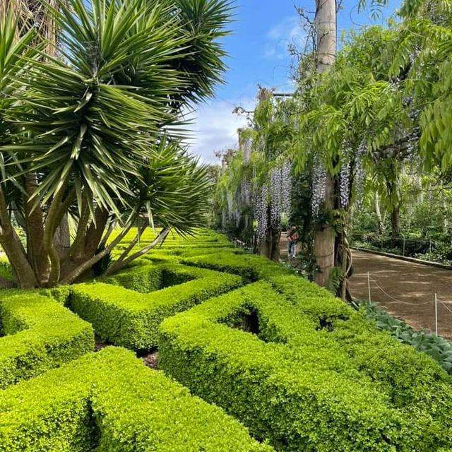  Alowyn Gardens: A Floral Paradise in Yarra Glen 