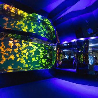 名古屋旅遊～名古屋水族館