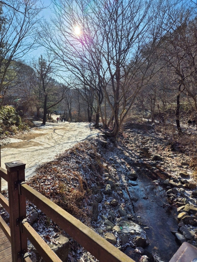 🌲 신년맞이 초보자도 즐길수 있는 겨울여행 광덕산 🌲