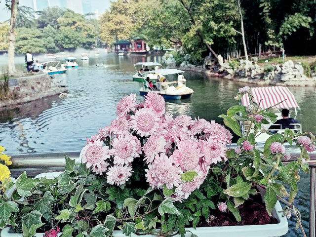 中山公園｜都市裡的「莫奈花園」