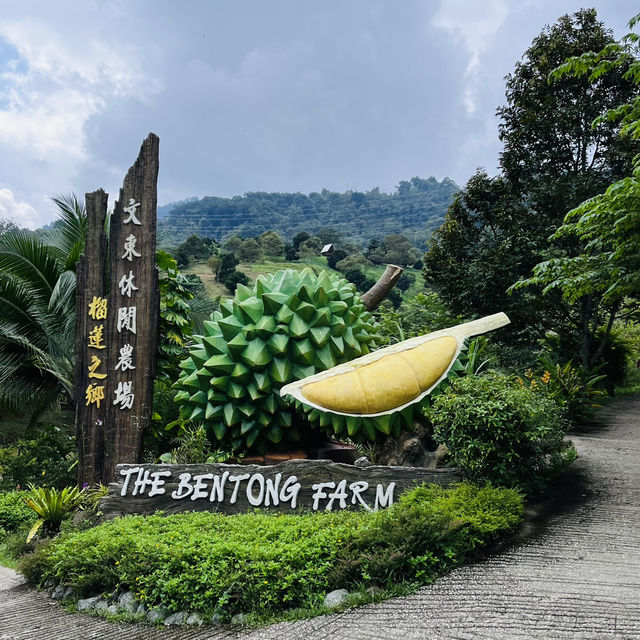 Bentong Farm Natural Gems 