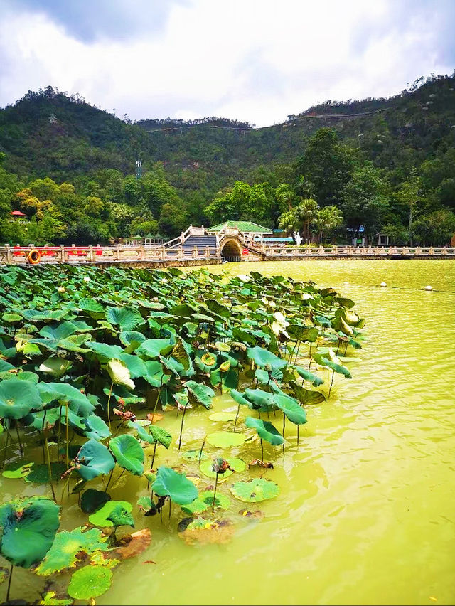 珠海白蓮洞公園：自然與歷史的交響曲🌿
