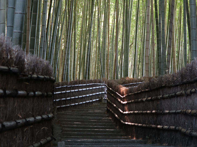 Find Tranquility and History at Adashino Nenbutsuji Temple