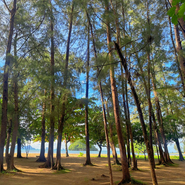 ทัวร์4เกาะกระบี่ แฮปปี้ตลอดทริป🌴