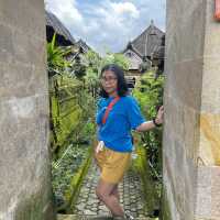 Penglipuran Village in Bali Island