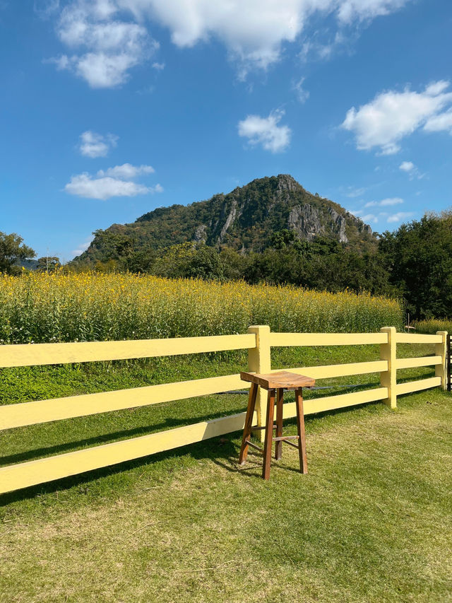 เที่ยวเขาใหญ่ฟีลต่างประเทศ 𝗣𝗿𝗶𝗺𝗼 𝗣𝗶𝗮𝘇𝘇𝗮
